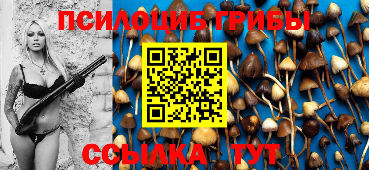 Галлюциногенные грибы мицелий Дубна